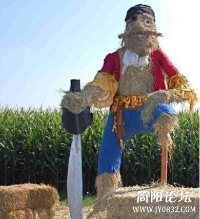未命名.jpg
