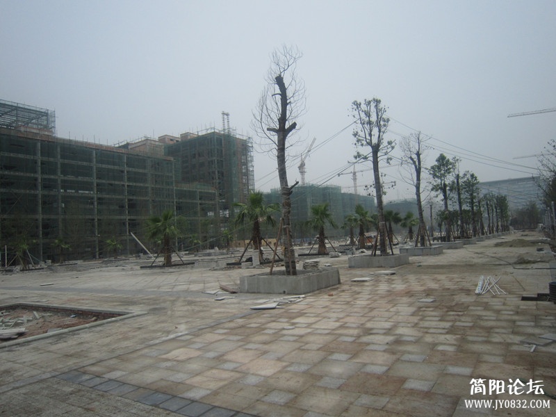 IMG_9512_副本.jpg