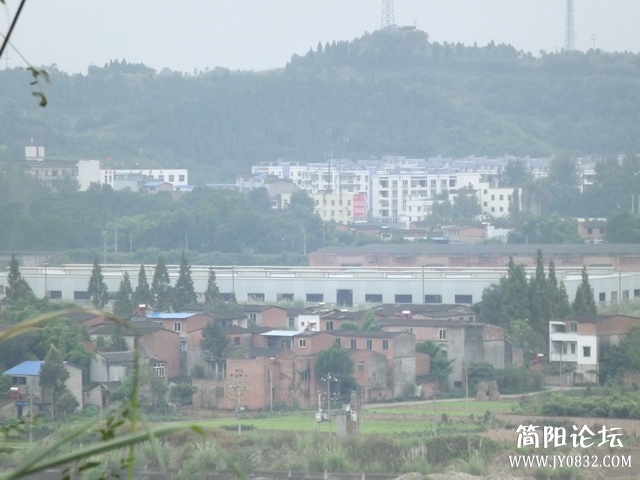 DSCF9106.jpg