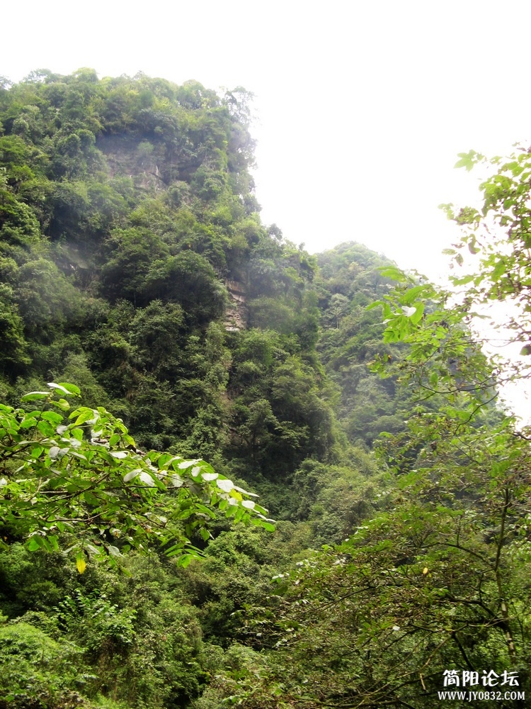 IMG_0147.jpg
