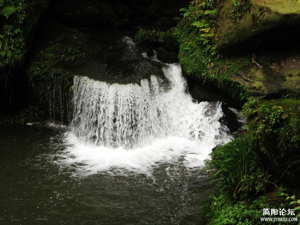 IMG_0174.jpg