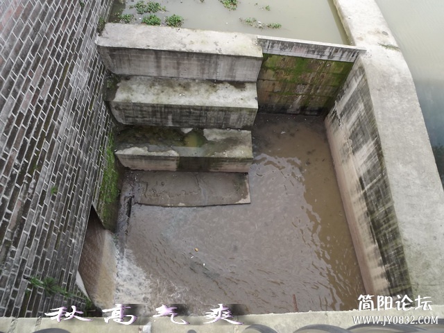 DSCF9059.jpg
