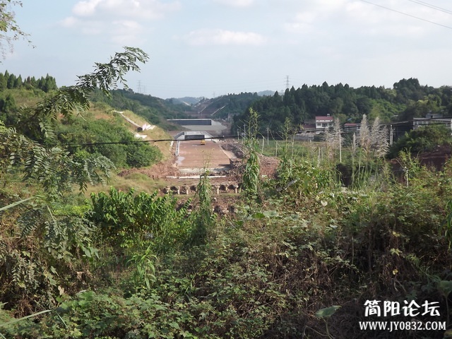 DSCF9041.jpg