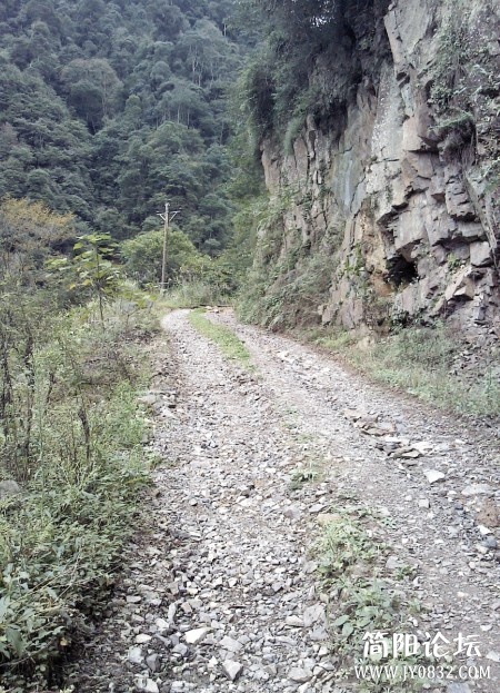 未命名.jpg