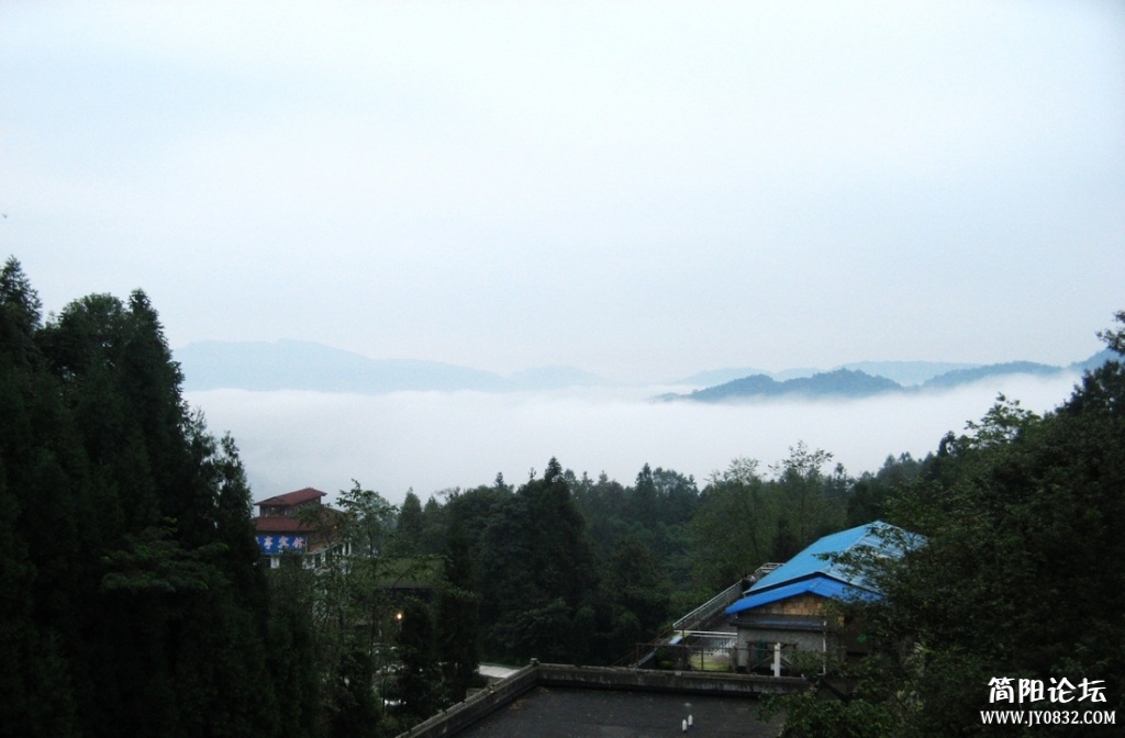 IMG_0246.jpg