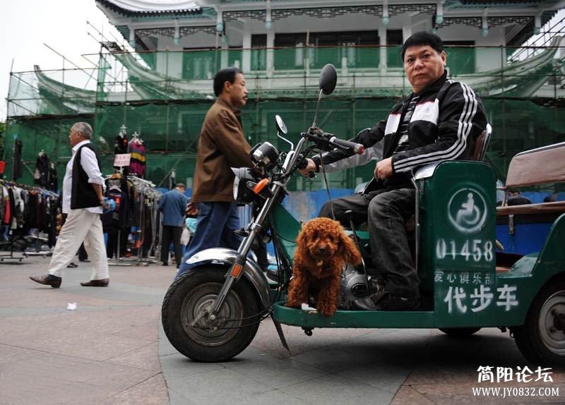 s20122791019491506f9545ab24d.jpg