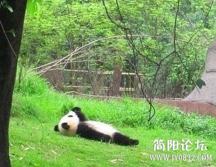 未命名.jpg