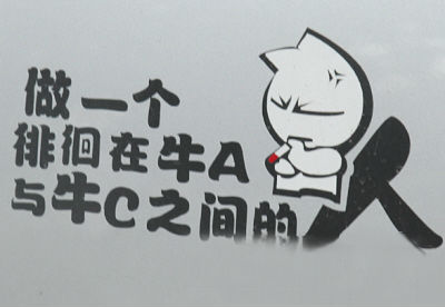 看看有才之人都如何上路 (30).jpg