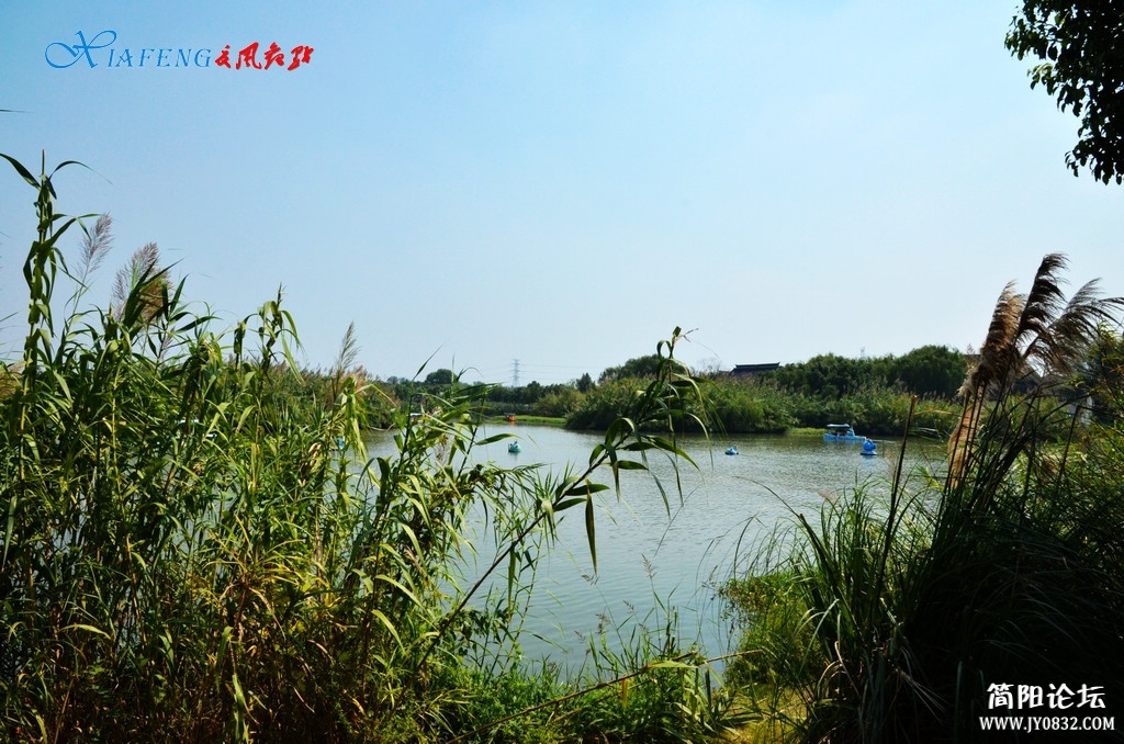 DSC_5066.jpg