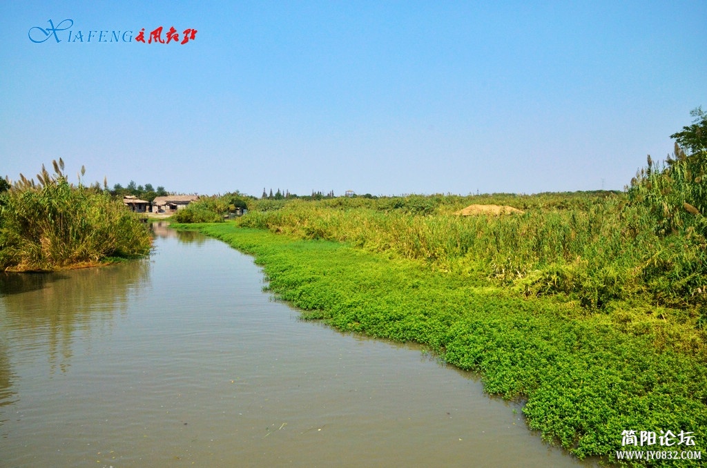 DSC_5075.jpg