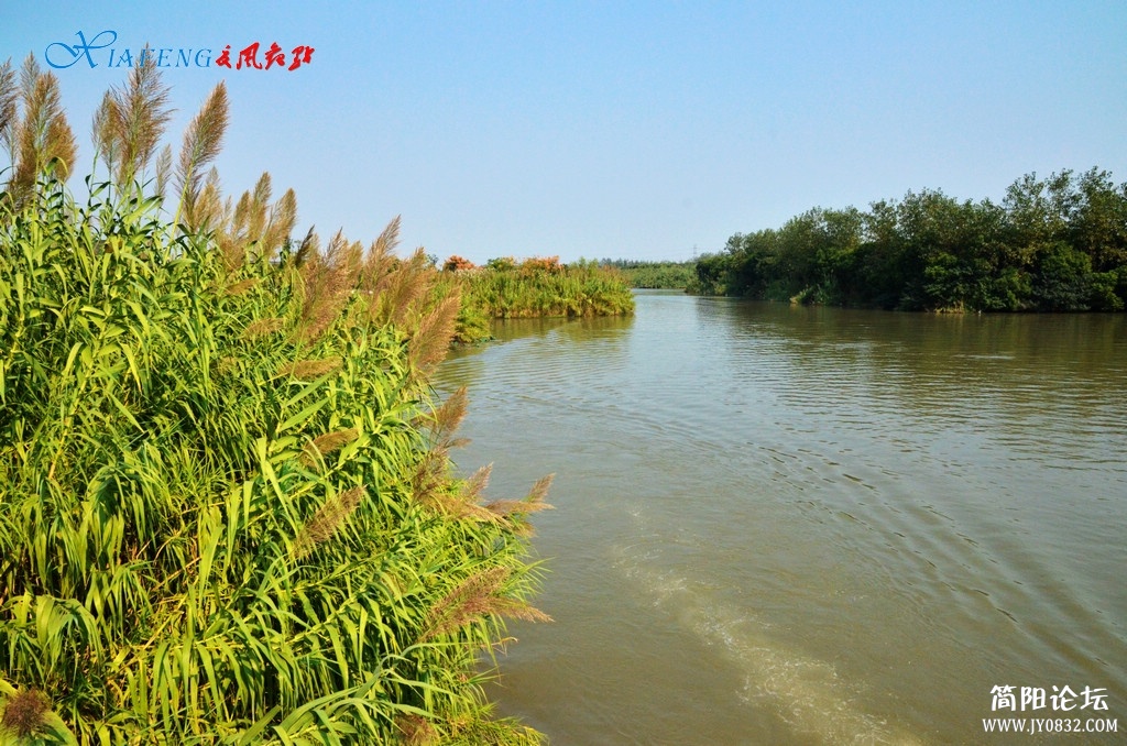 DSC_5162.jpg