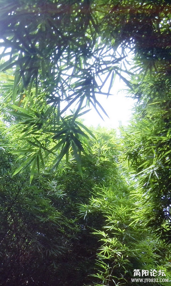 20121013拍摄于简阳空分厂