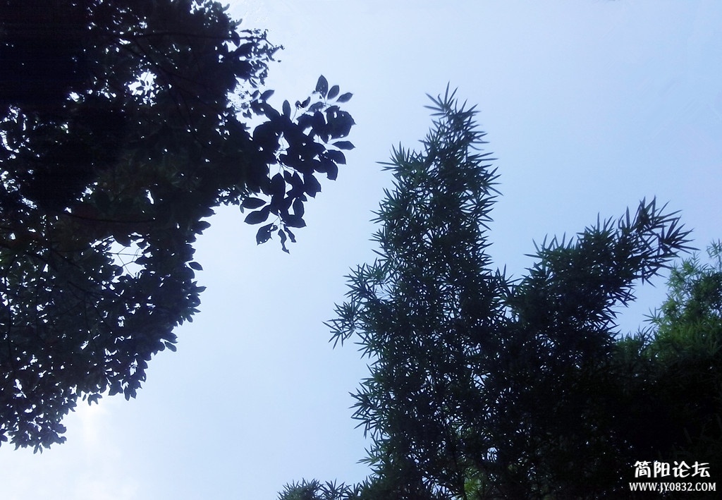 20121013拍摄于简阳空分厂