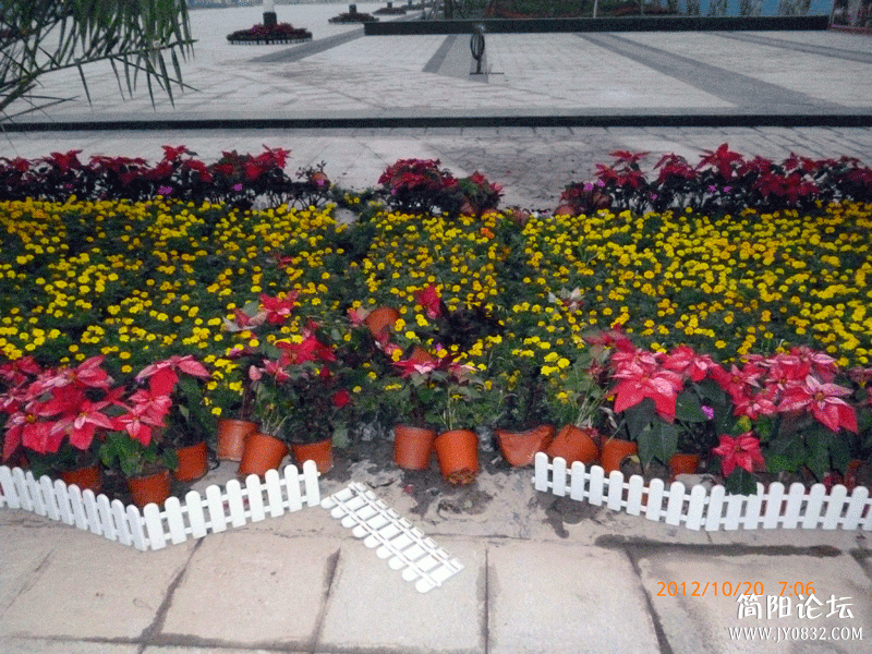 P1000083.gif