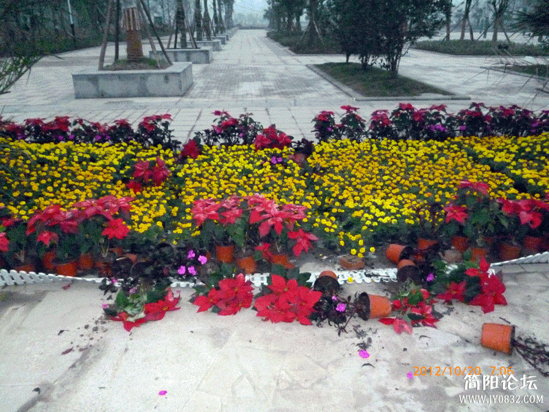 P1000084.gif