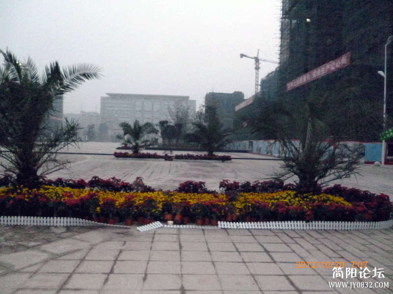 P1000085.gif