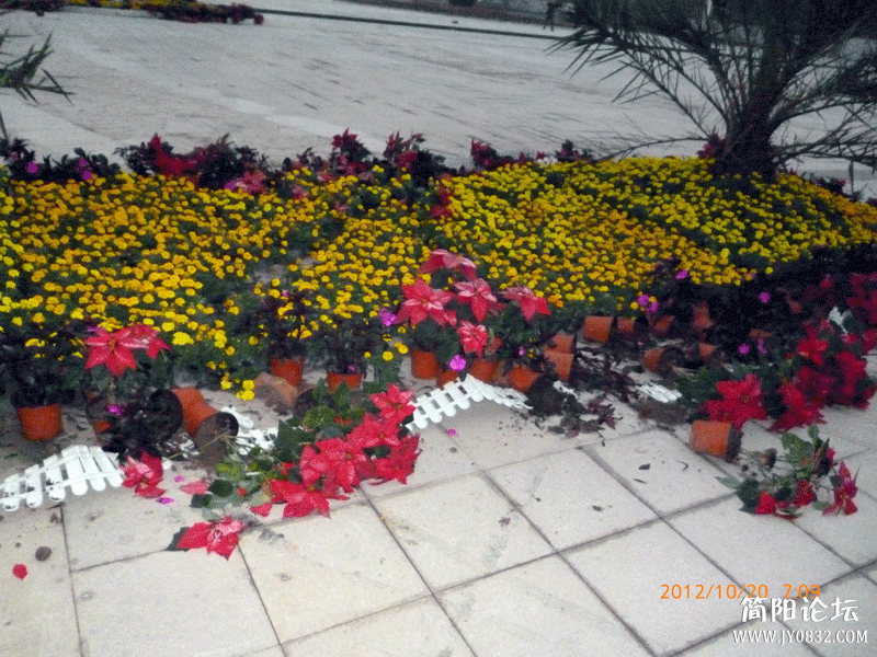 P1000086.gif