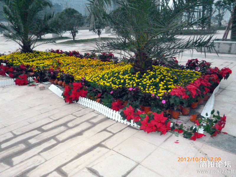 P1000087.gif