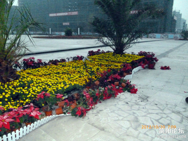 P1000088.gif