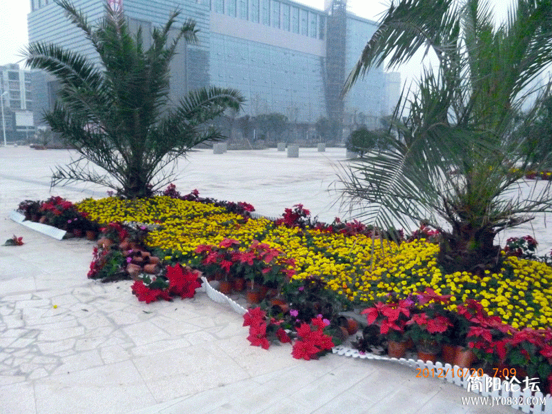 P1000089.gif