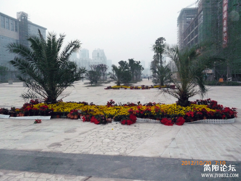 P1000090.gif