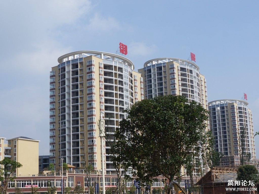 dsc01418_conew2.jpg