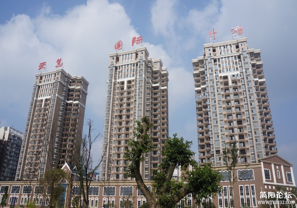 DSC01426_conew5.JPG