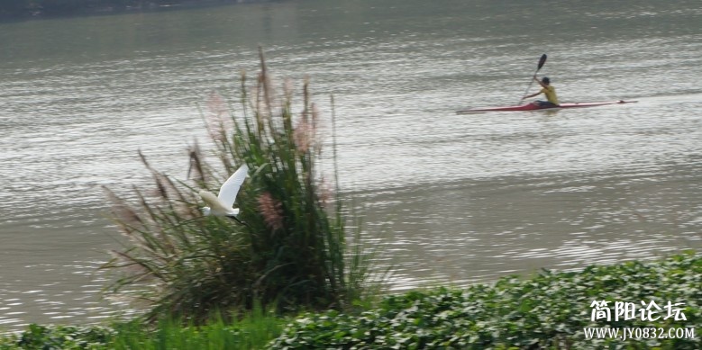 dsc01474_conew3.jpg