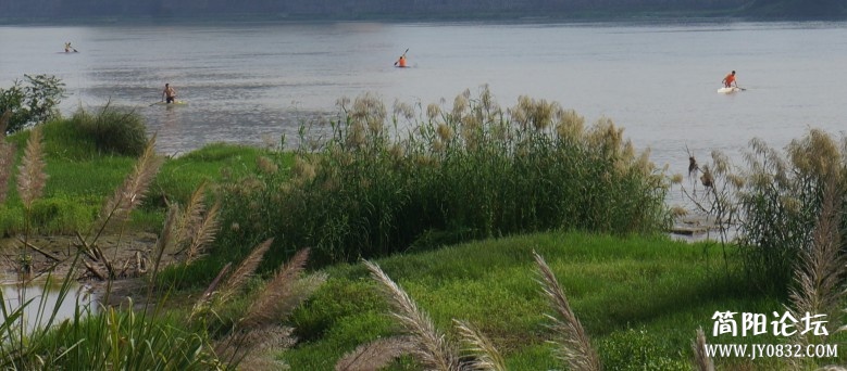 dsc01502_conew2.jpg