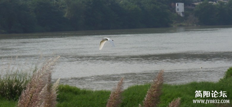 dsc01508_conew2.jpg