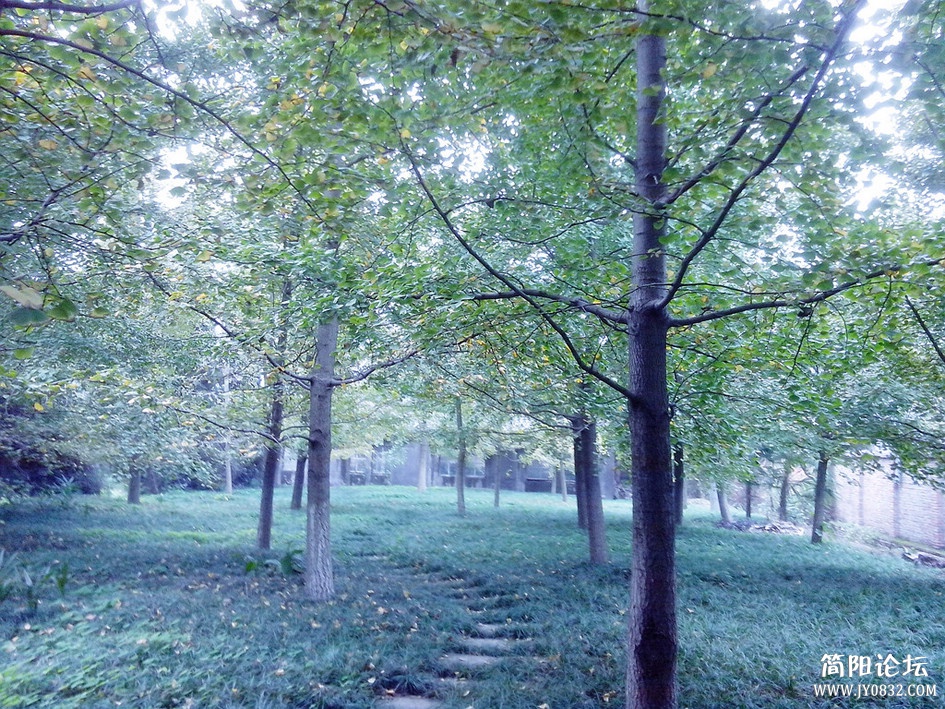 20121020拍摄于简阳空分厂