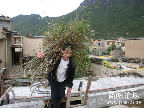 112436l3gt2l6u3uh5gdt6_副本.jpg