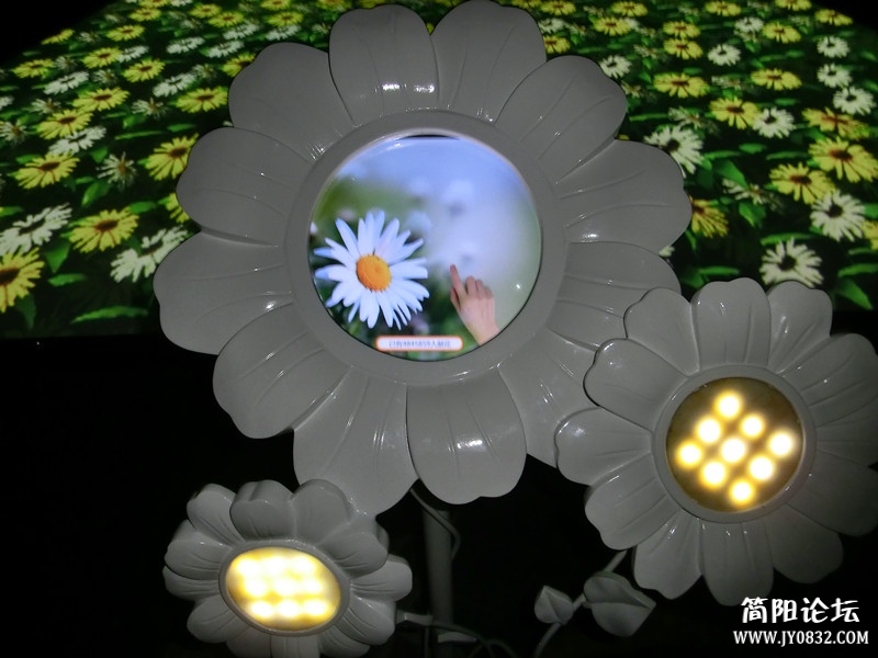 CIMG3074_副本_副本.jpg