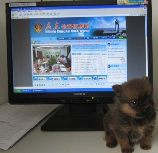 未命名.jpg