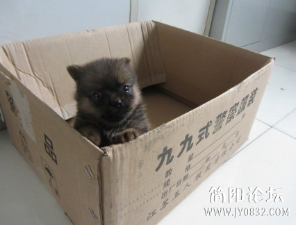未命名.jpg