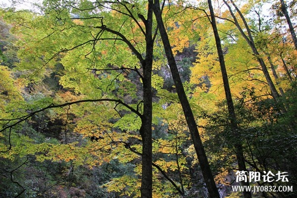img_0300_副本.jpg
