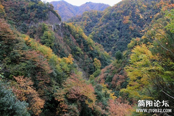 img_0524_副本.jpg