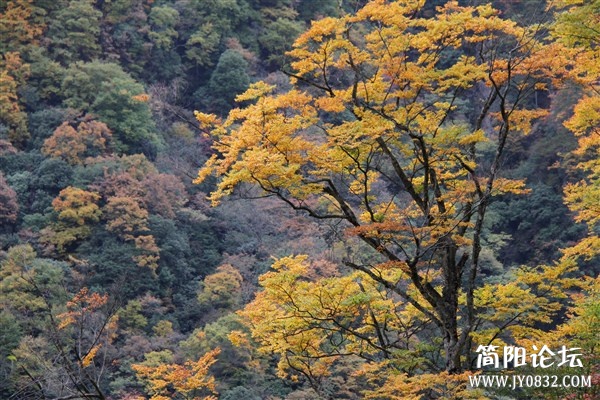 img_0557_副本.jpg