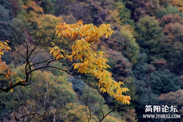 img_0568_副本.jpg