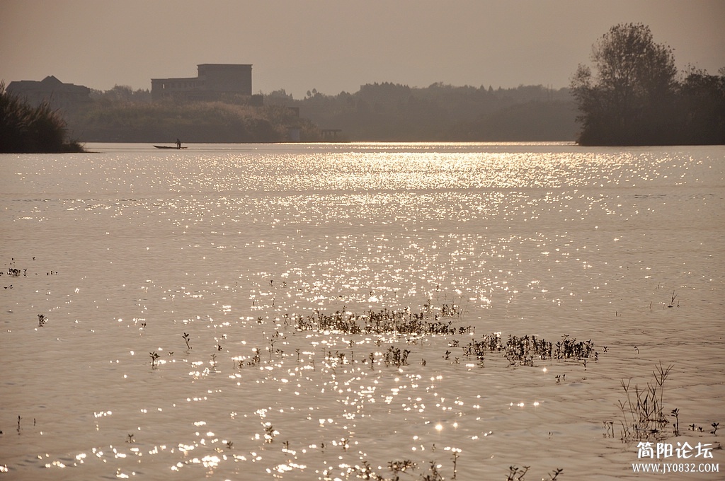 DSC_0403.jpg