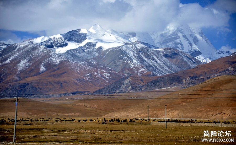 DSC_0812.jpg