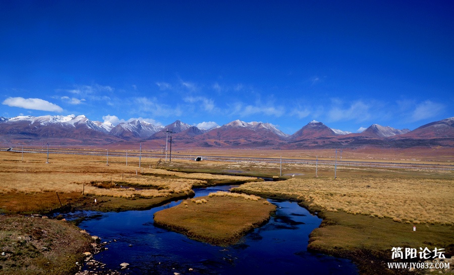 DSC_0785.jpg