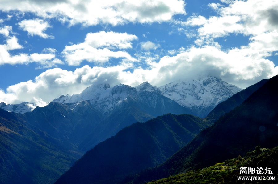 DSC_0979.jpg