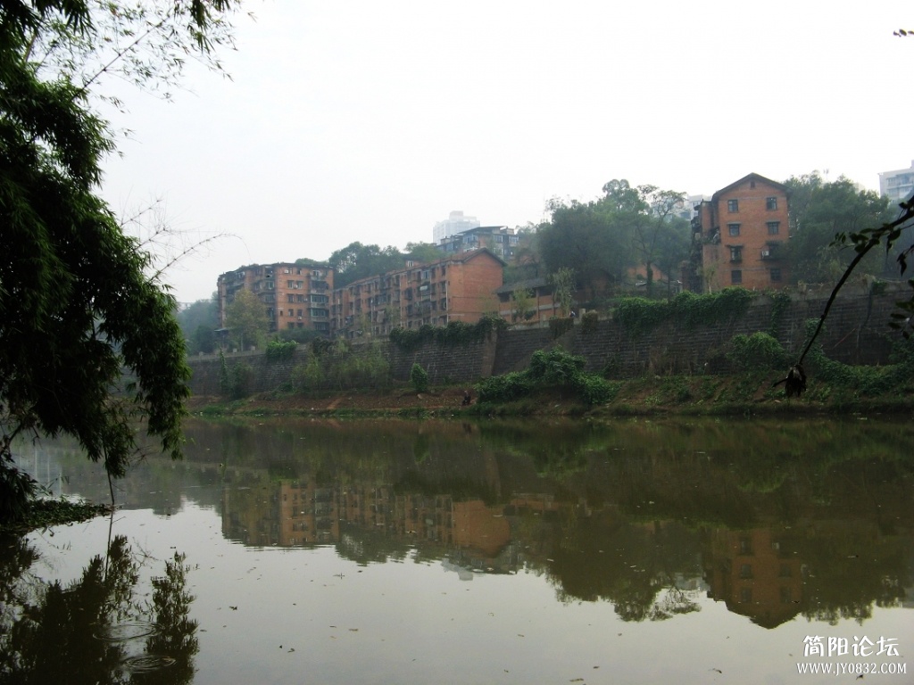 IMG_0866.jpg