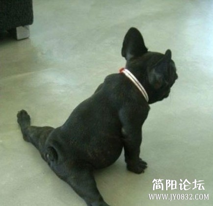 未命名.jpg