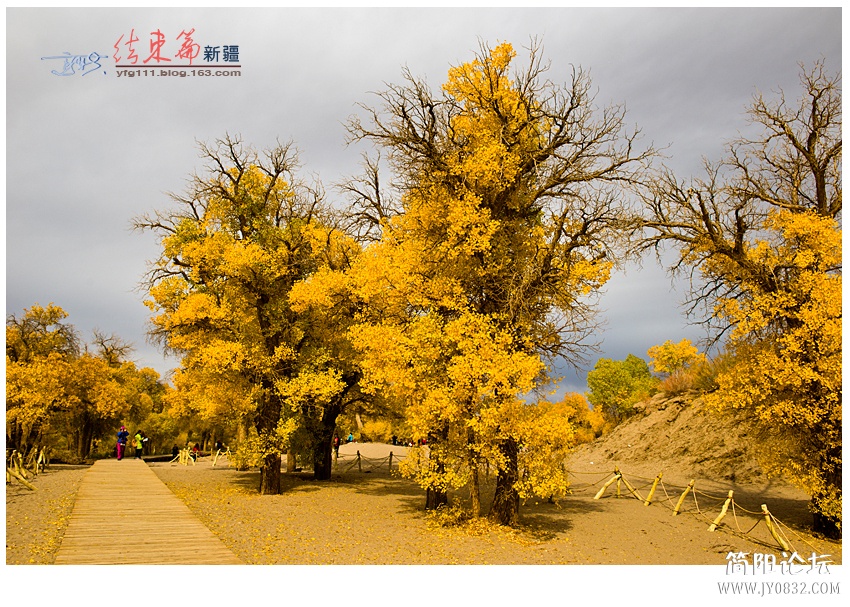 结束篇——11.jpg