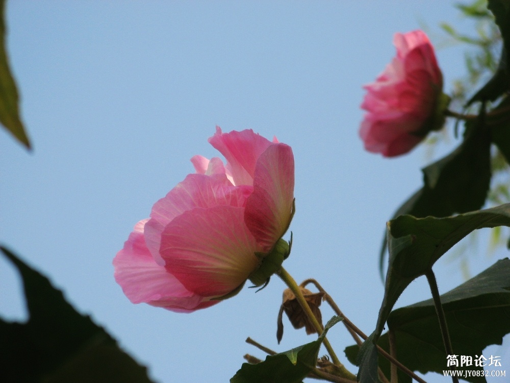 IMG_0925.jpg