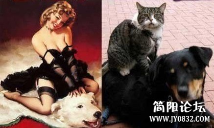 未命名.jpg