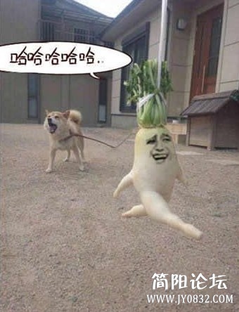 未命名.jpg