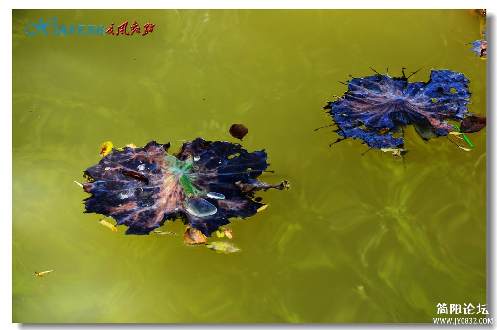DSC_5857.jpg